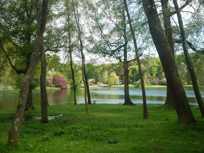 Trees by a Lake — Green, Serene, Spring, Photograph