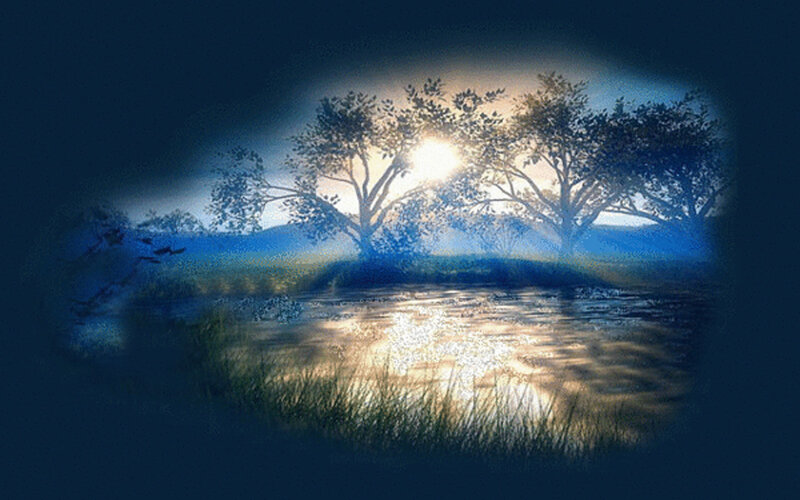 Trees by a Pond — Blue