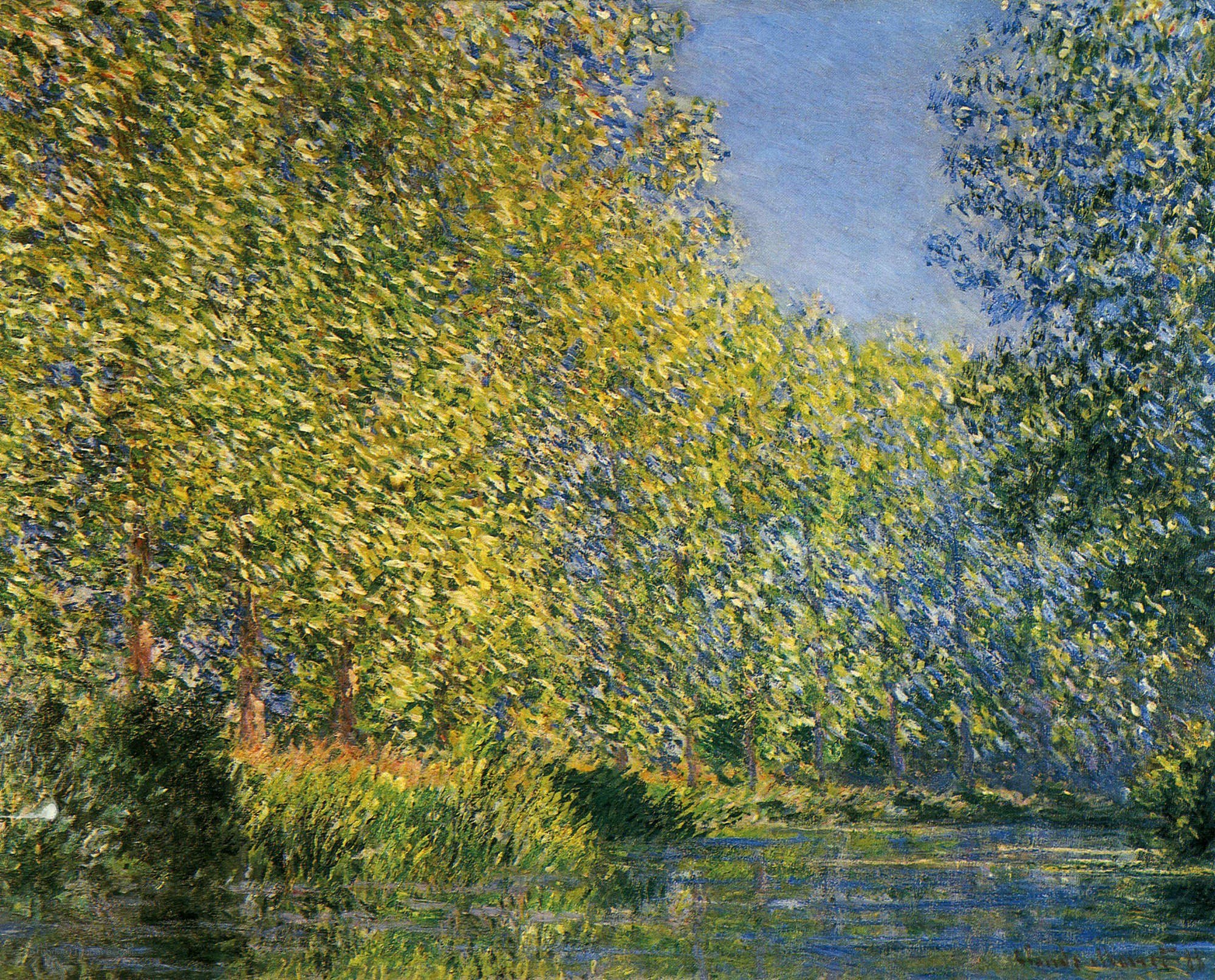 Trees by a river