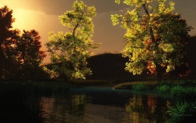 Trees by a River at Sunset