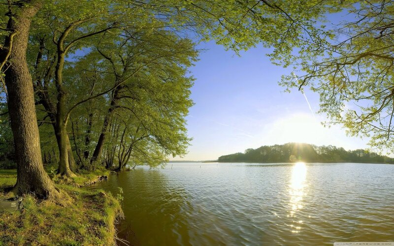 Trees by Lake at Sunrise