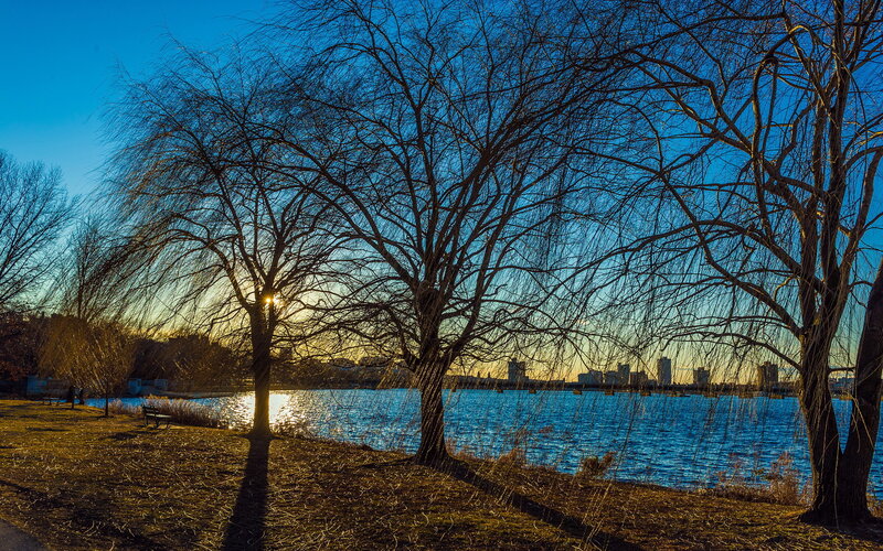 Trees by Lake at Sunset — Blue, Serene, Photograph