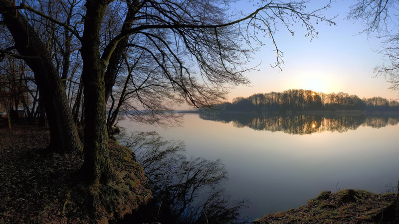 Trees by Lake at Sunset — Blue, Serene