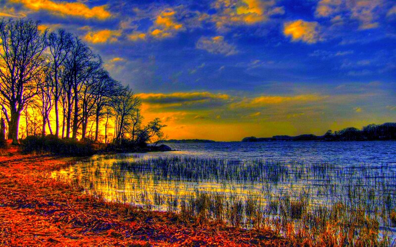Trees by Lake at Sunset — Blue