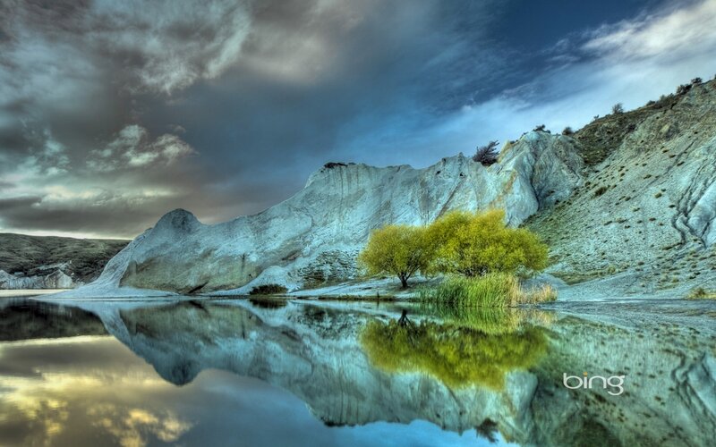 Trees by Lake Reflection