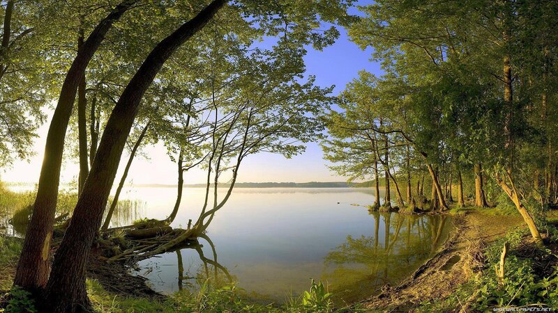 Trees by Lake Shore — Green, Serene, Morning, Photograph, Sky, Reflection, Blue
