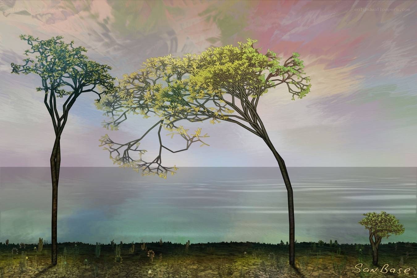 Trees by the sea at sunset