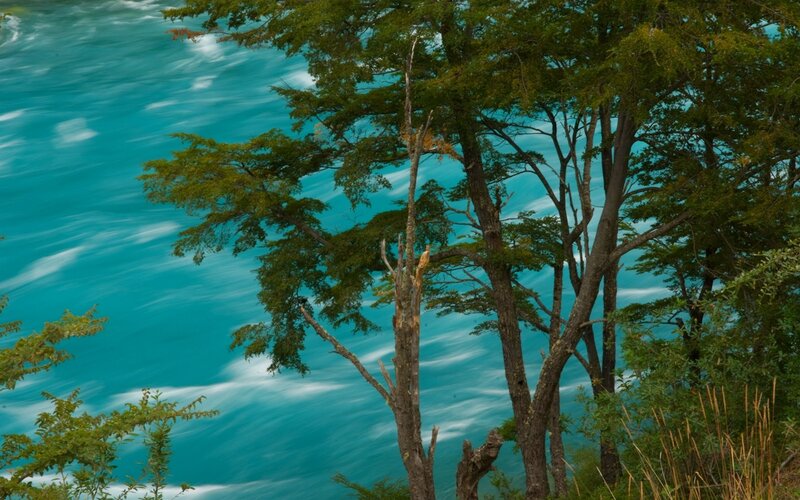 Trees by Turquoise Water