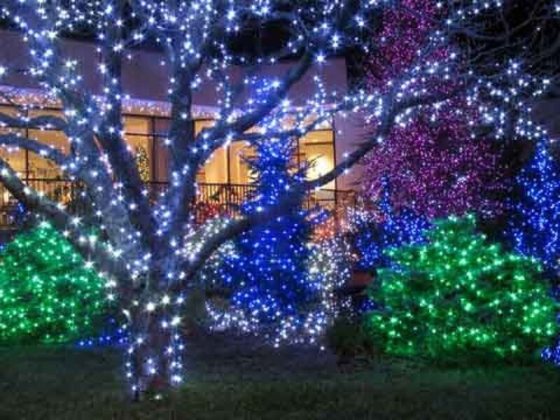 Trees Decorated with Lights — Blue, Festive