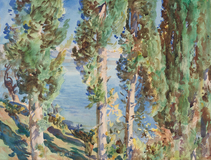 Trees Framing a Lake — Green