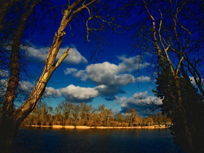 Trees Framing Lake