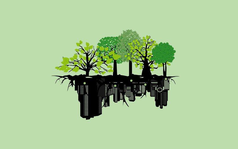 Trees Growing from Buildings