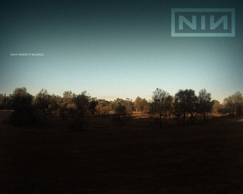 Trees in a Field — Blue, Serene, Sunset