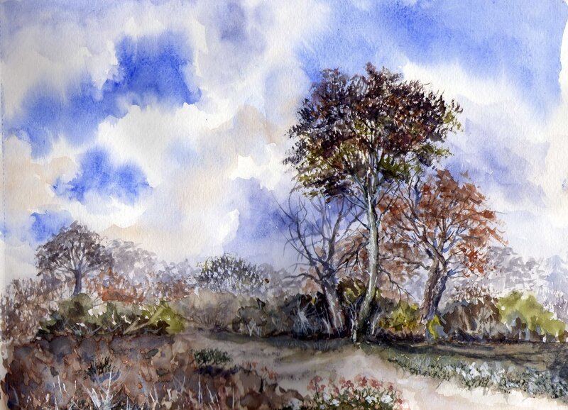 Trees in a Field — Blue, Serene