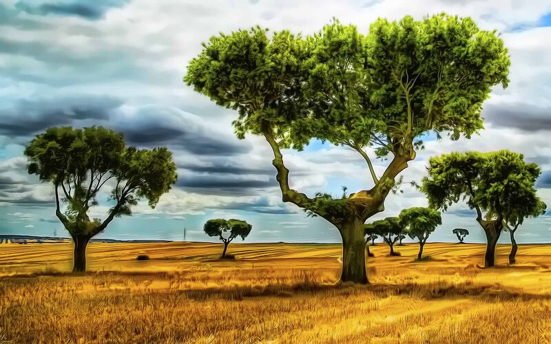 Trees in a Field — Green, Dramatic