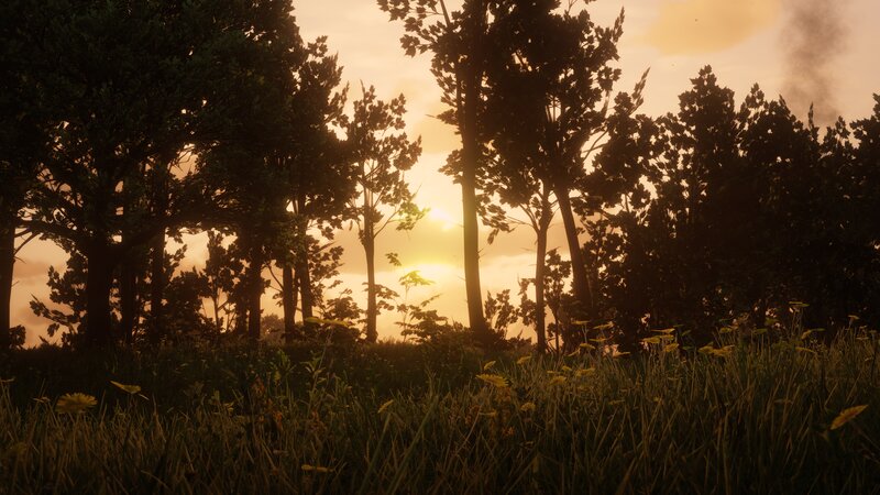 Trees in a Field — Yellow, Serene