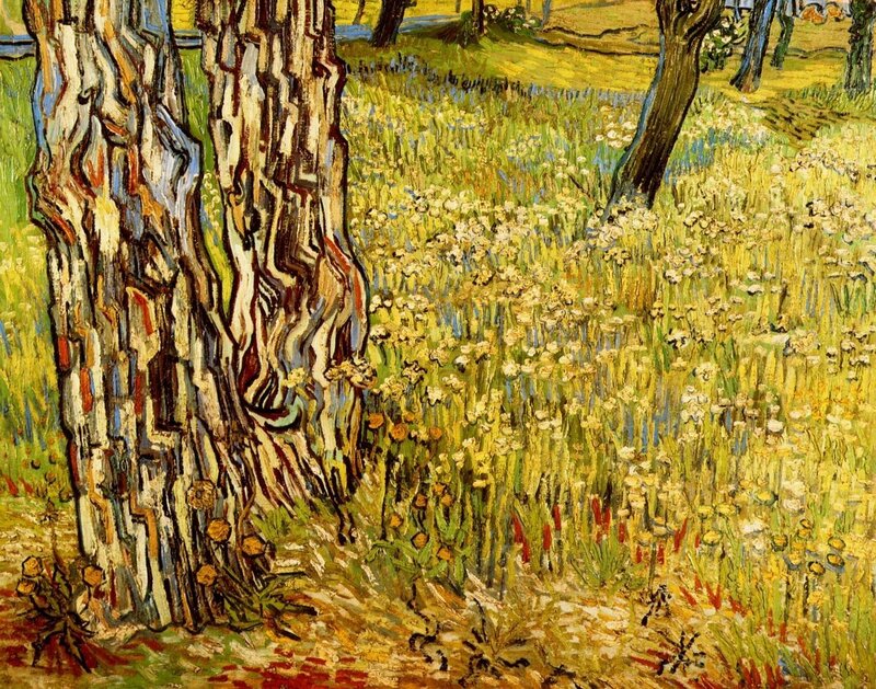 Trees in a Flower Field