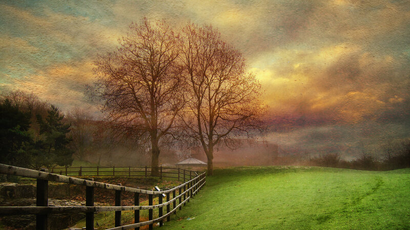 Trees in a Foggy Field — Green, Dramatic