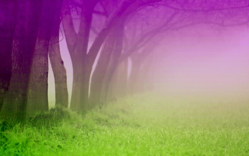 Trees in a Foggy Field — Green
