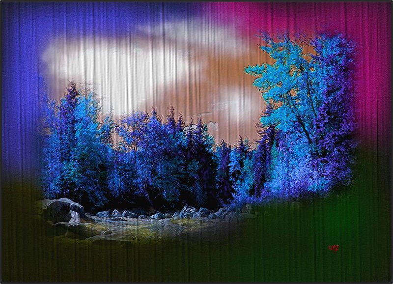 Trees in a Forest — Blue, Dramatic