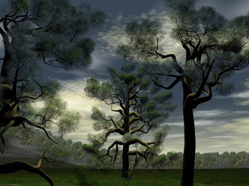Trees in a Forest — Green, Dramatic