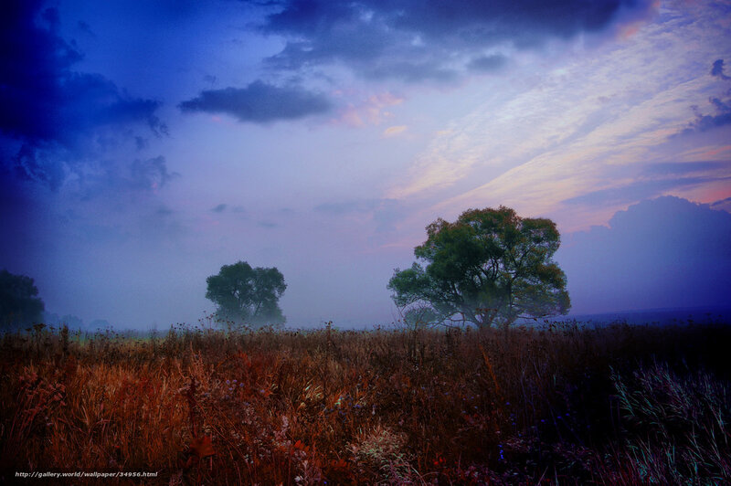Trees in a Misty Field — Blue