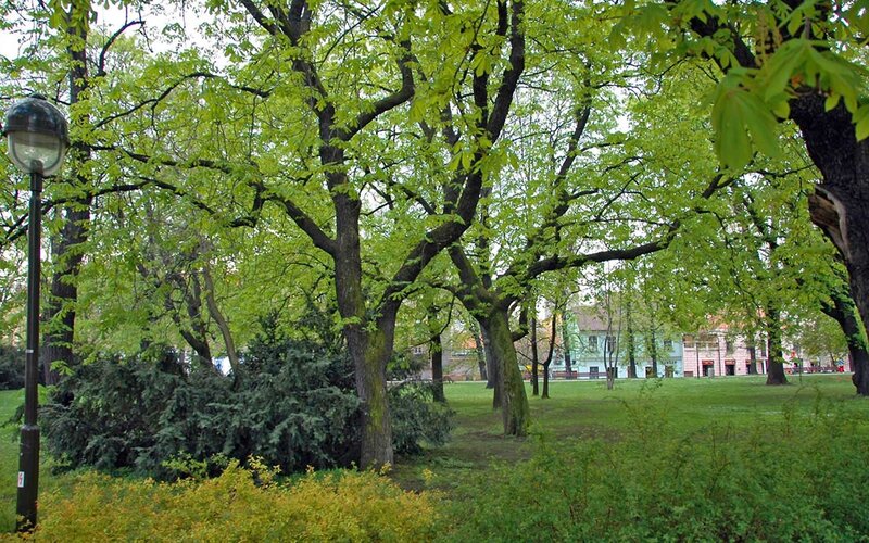 Trees in a Park — Green, Serene, Spring, Photograph, Street Lamp