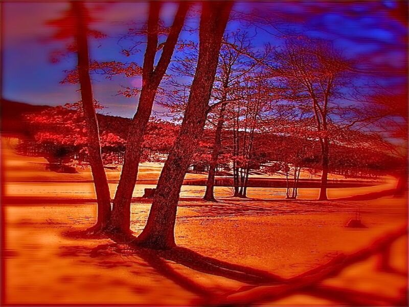Trees in a Park — Red