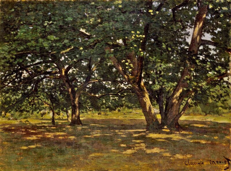Trees in a Sunlit Park