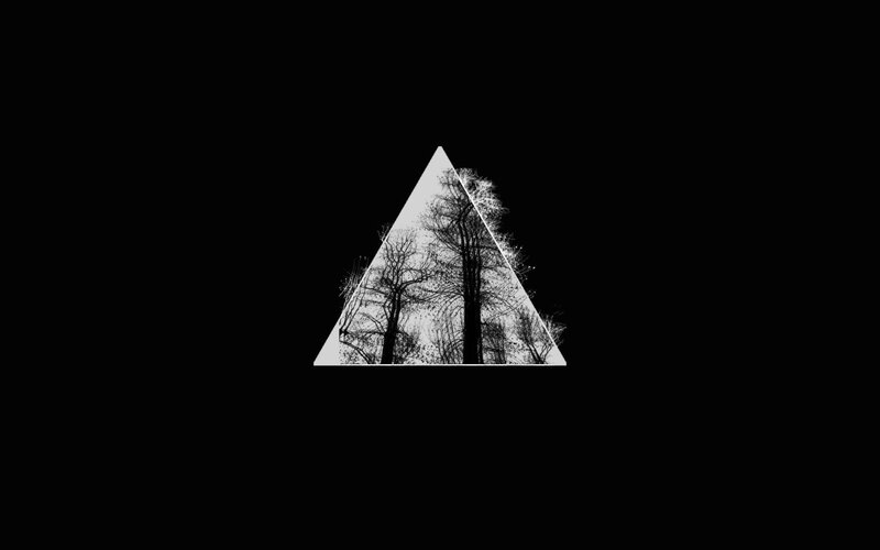 Trees in a Triangle