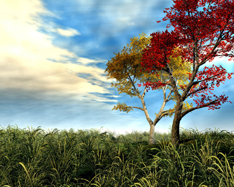 Trees in Autumn Field — Red, Serene