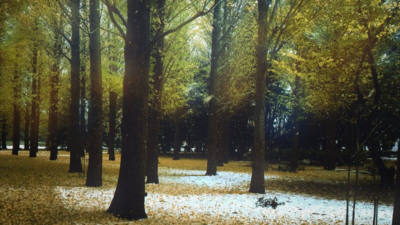 Trees in Autumn Forest — Yellow