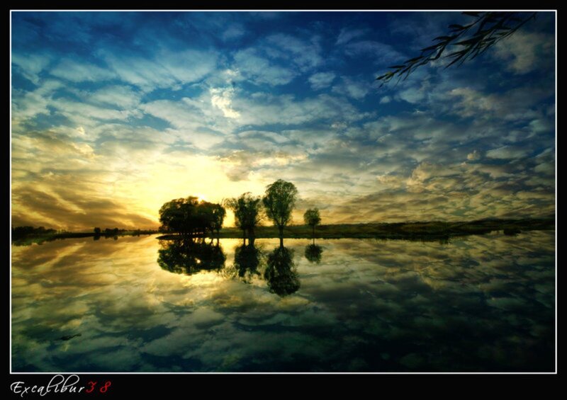 Trees in Calm Water — Blue, Serene, Sunset, Photograph
