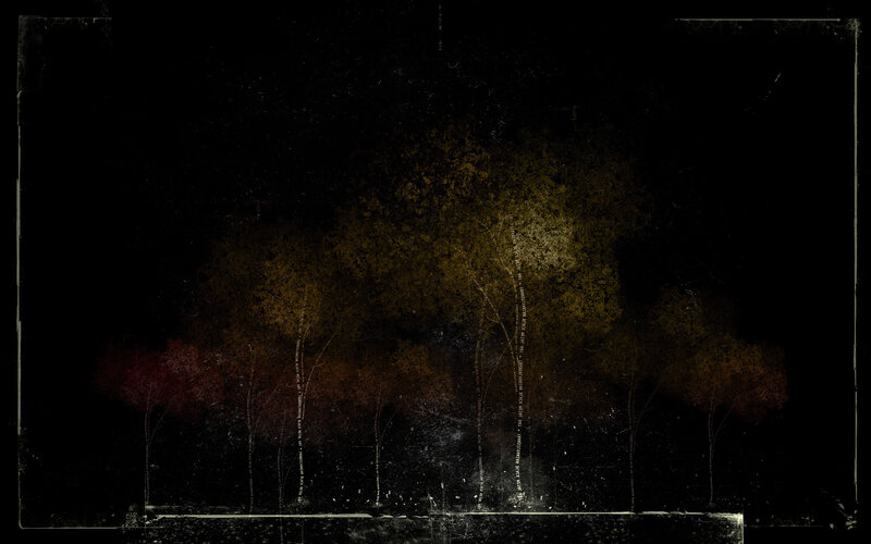 Trees in Dark Forest