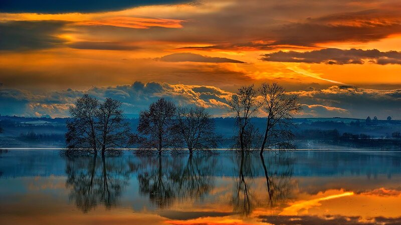 Trees in Flooded Lake — Orange, Dramatic