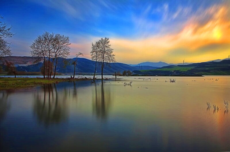 Trees in Flooded Landscape — Blue