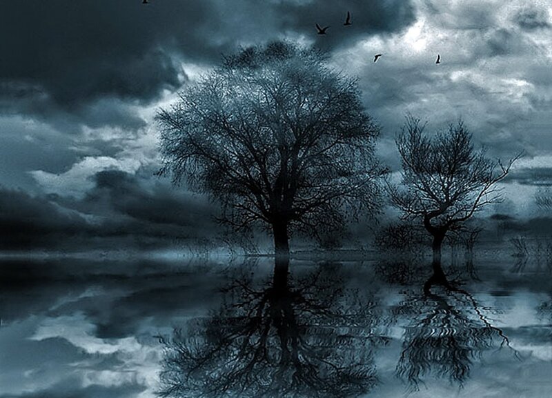 Trees in Flooded Landscape