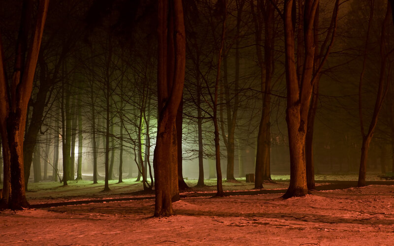 Trees in Foggy Forest — Red