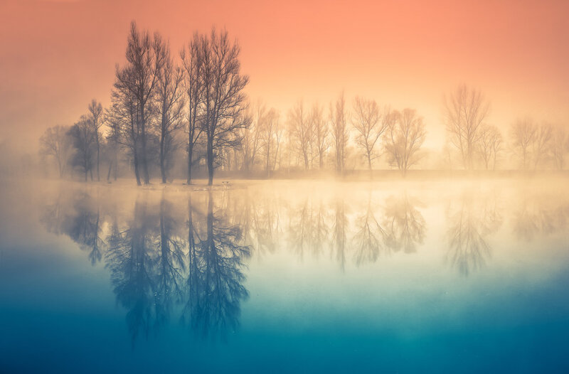 Trees in Foggy Reflection