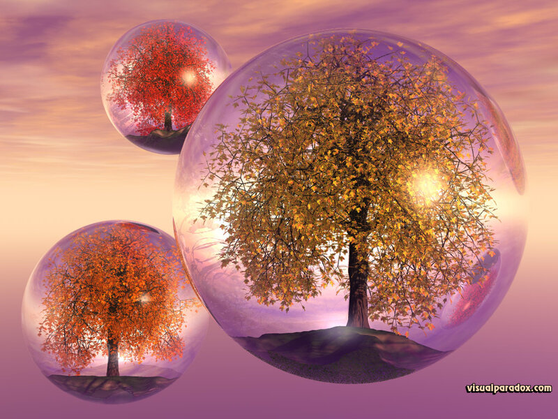 Trees in glass bubbles