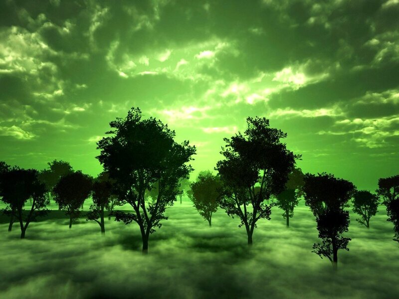 Trees in Green Fog
