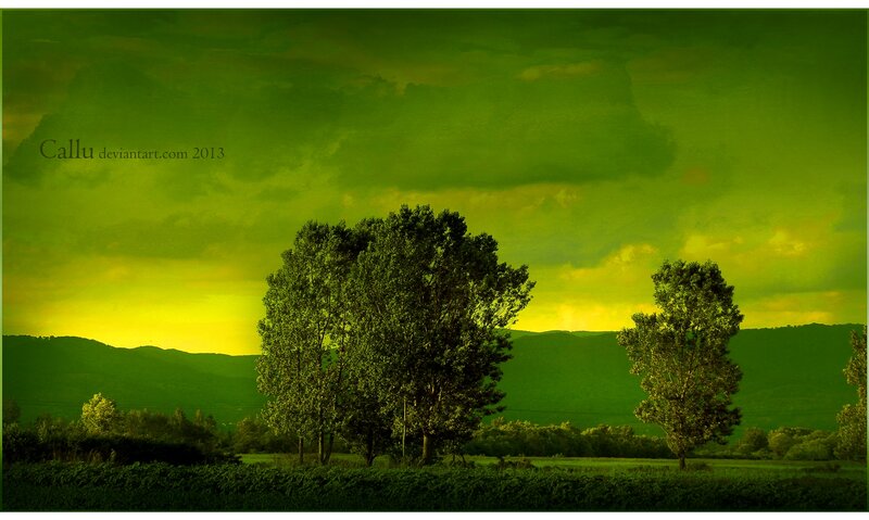Trees in Green Landscape