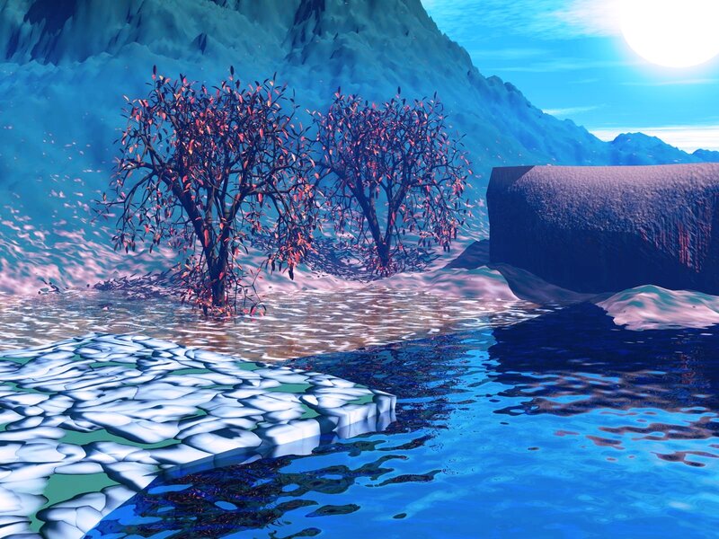 Trees in Icy Water
