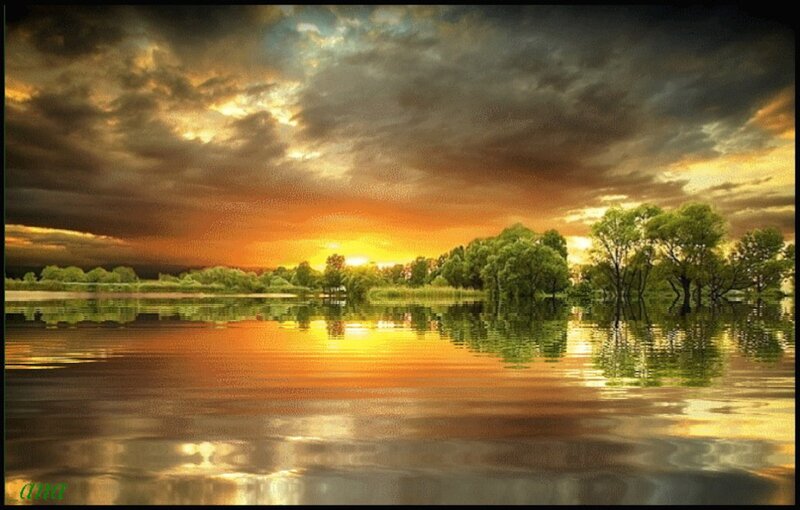 Trees in Lake at Sunset — Orange, Dramatic