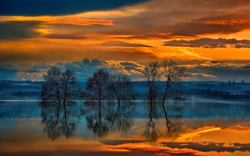 Trees in Lake at Sunset — Orange