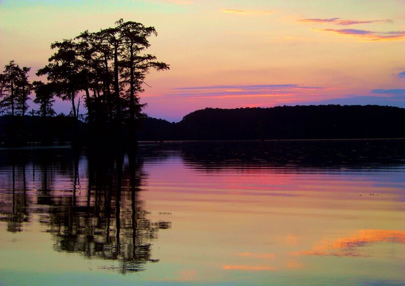 Trees in Lake at Sunset — Purple