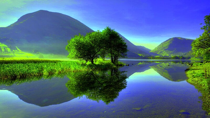 Trees in Lake Reflection — Green