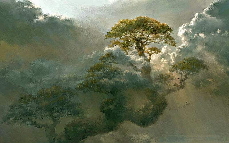 Trees in Misty Clouds