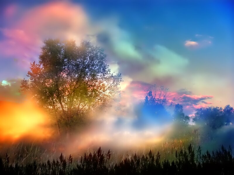Trees in Misty Field — Blue
