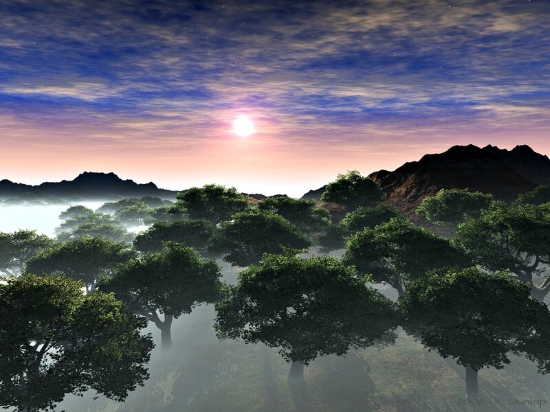 Trees in Misty Valley — Green, Serene, Sunrise